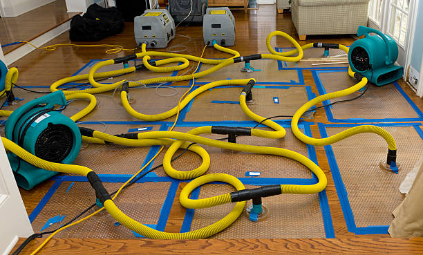 Professional Crawl Space Water Removal technician working in Albion, ME